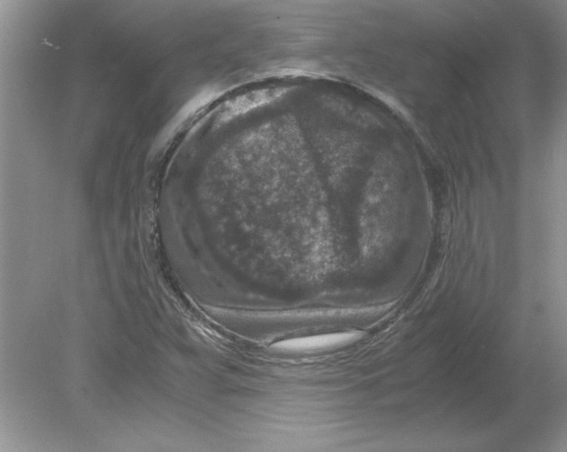 X0000078881359200612042013