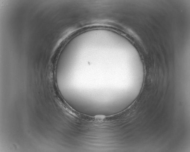 X0000078881360200612042013