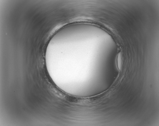 X0000078881363200612042013