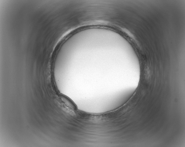 X0000078881364200612042013