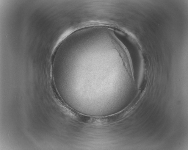 X0000078881365200612042013