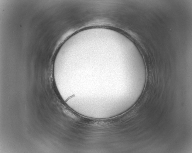 X0000078881366200612042013