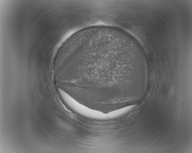 X0000078881367200612042013