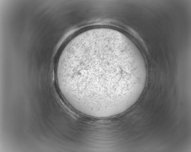 X0000078881368200612042013