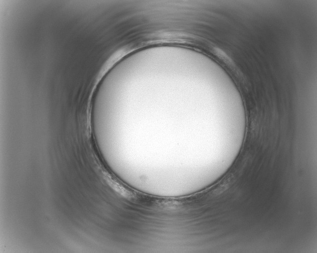 X0000078881370200612042013