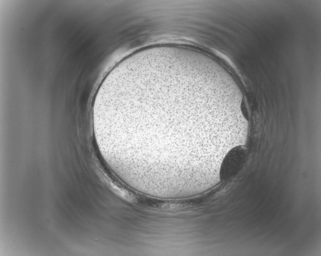 X0000078881371200612042013