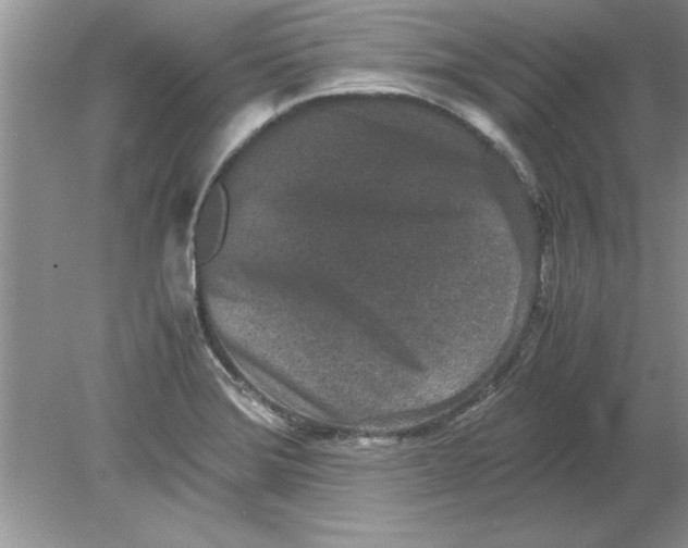 X0000078881372200612042013