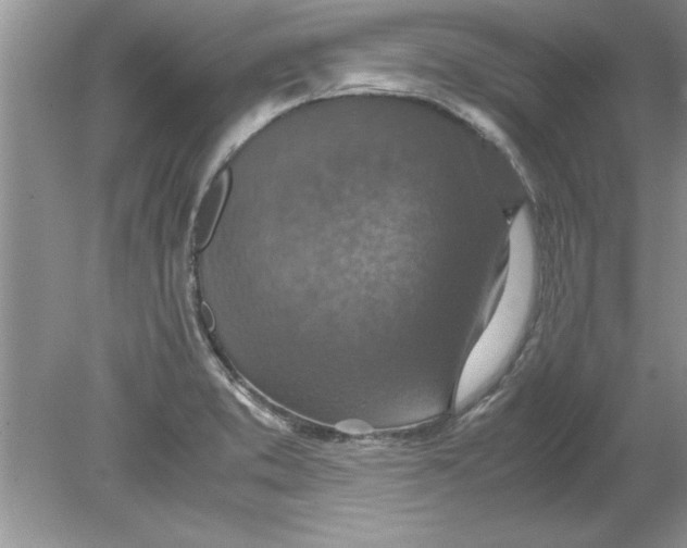 X0000078881373200612042013