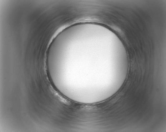 X0000078881374200612042013