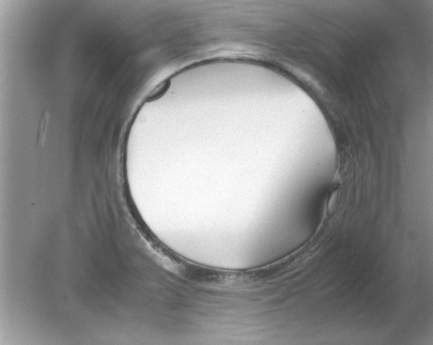 X0000078881375200612042013