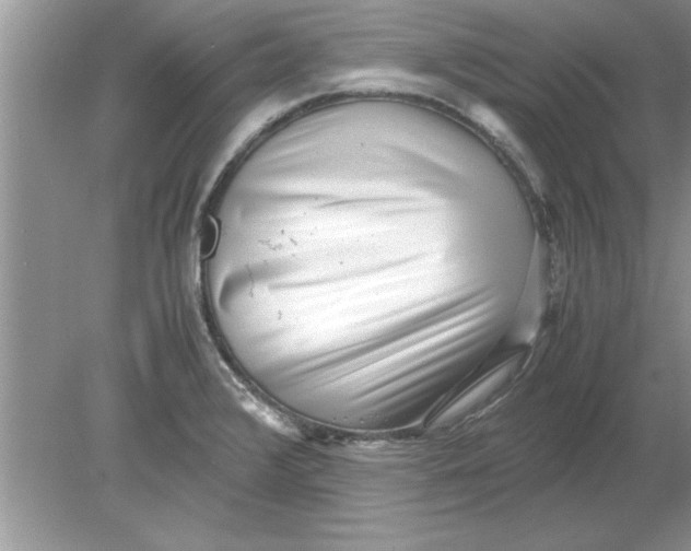 X0000078881376200612042013