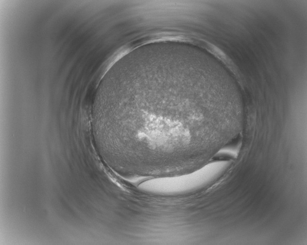 X0000078881377200612042013