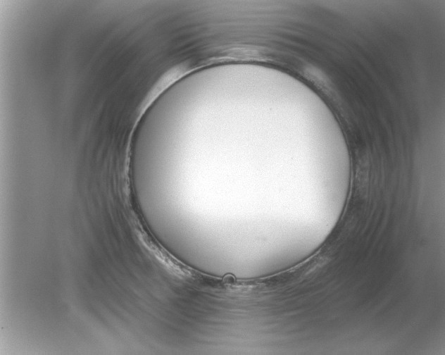 X0000078881378200612042013