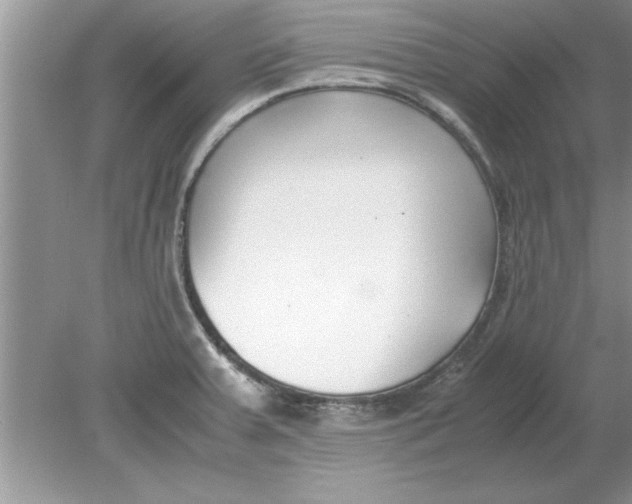 X0000078881379200612042013