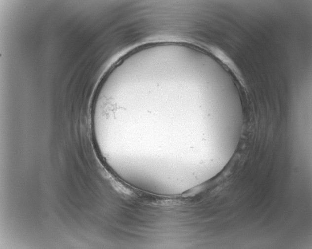 X0000078881380200612042013