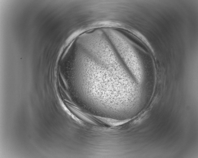 X0000078881381200612042013