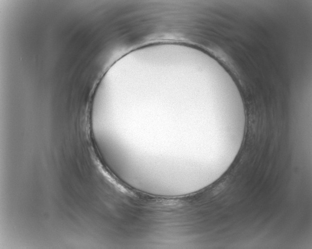 X0000078881382200612042013