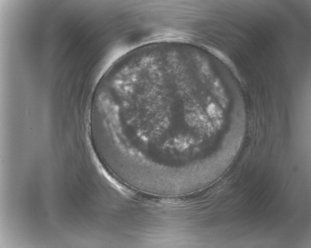 X0000078881383200612042013