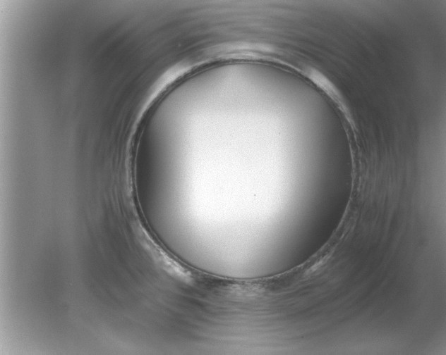 X0000078881384200612042013