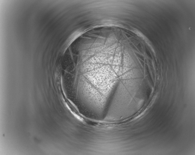 X0000078881385200612042013