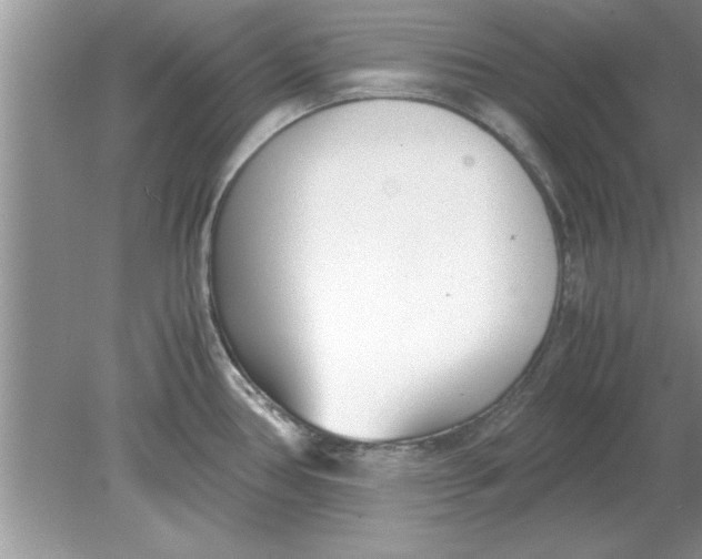 X0000078881386200612042013