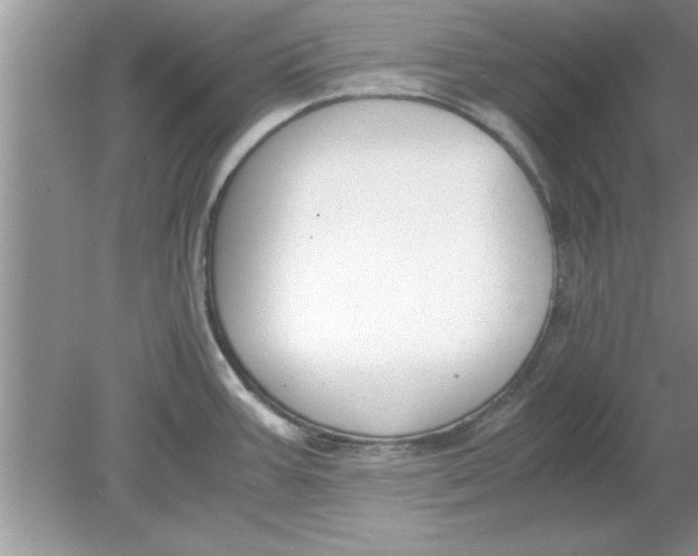 X0000078881387200612042013