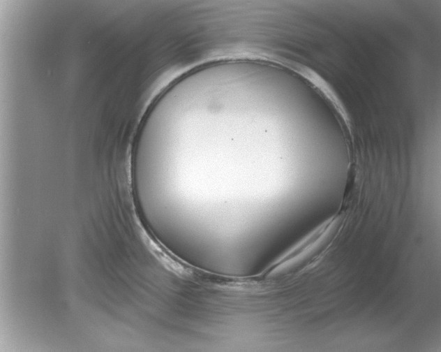 X0000078881388200612042013