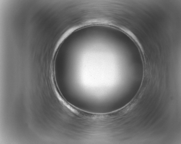 X0000078881389200612042013