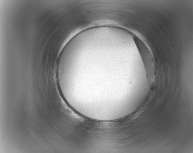 X0000078881390200612042013