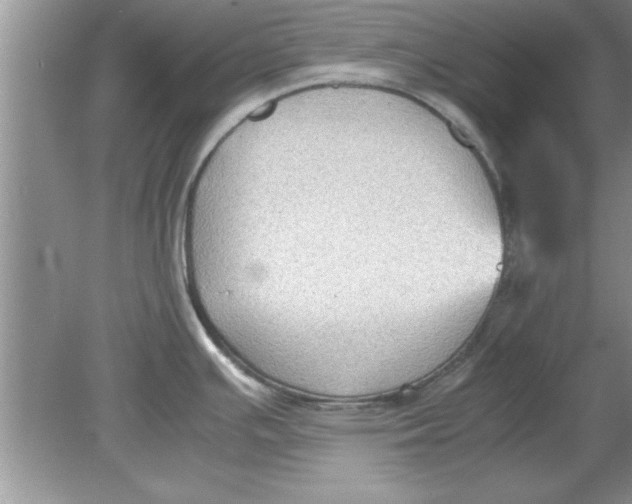 X0000078881391200612042013