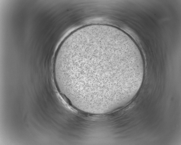 X0000078881392200612042013