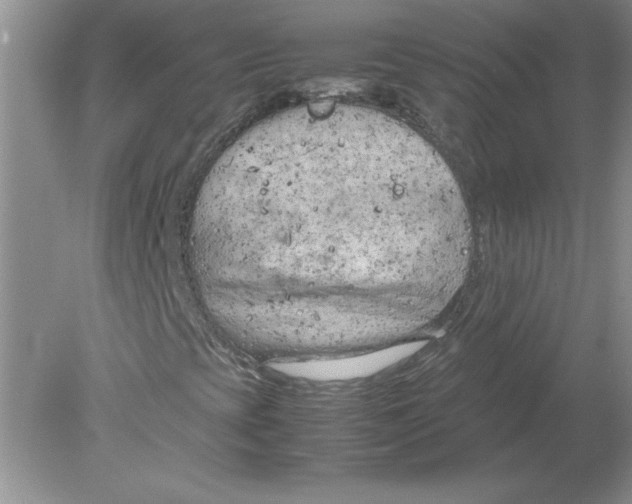 X0000078881393200612042012