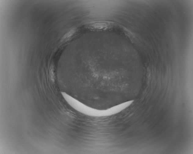 X0000078881394200612042012