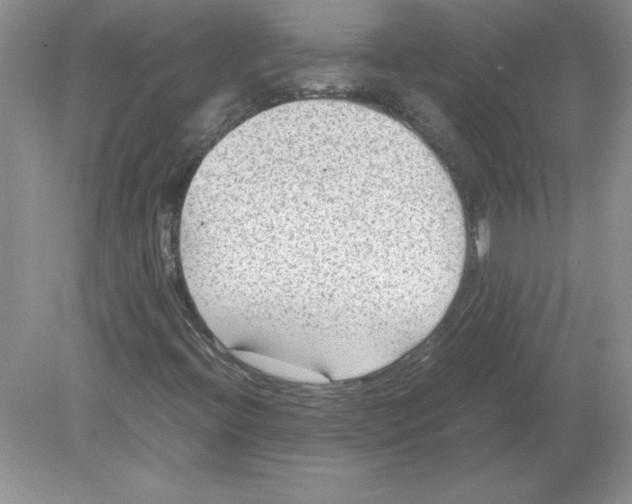 X0000078881396200612042012