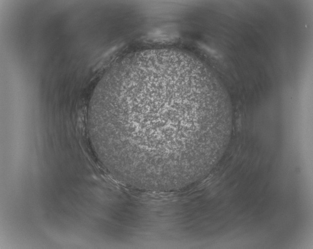 X0000078881397200612042012