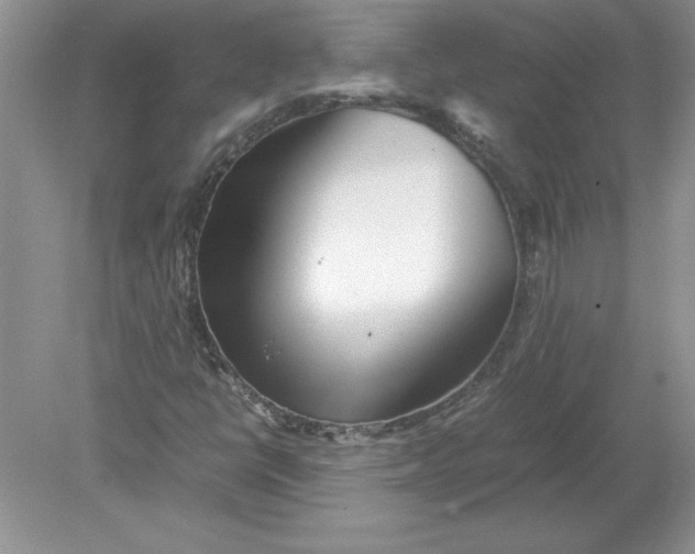 X0000078881398200612042012