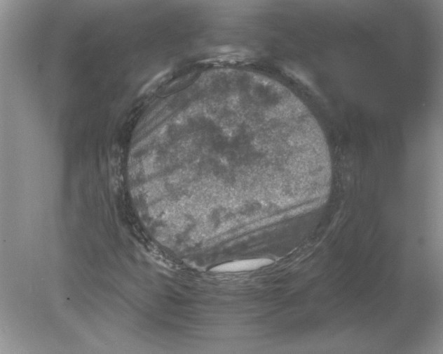 X0000078881399200612042012