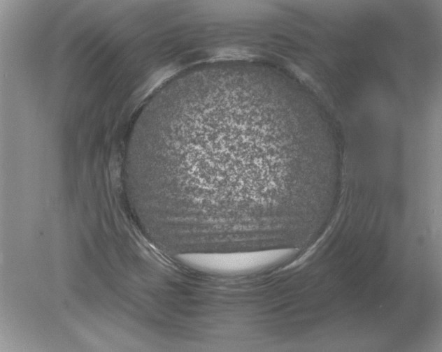 X0000078881401200612042012