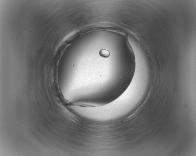 X0000078881402200612042012