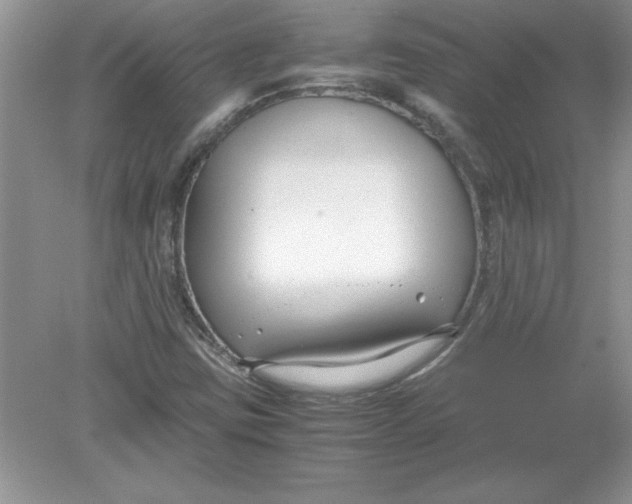 X0000078881403200612042012