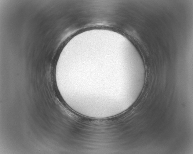 X0000078881404200612042012