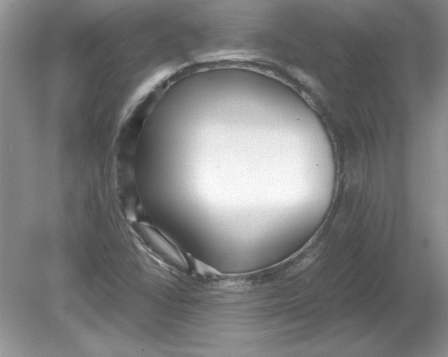 X0000078881406200612042012