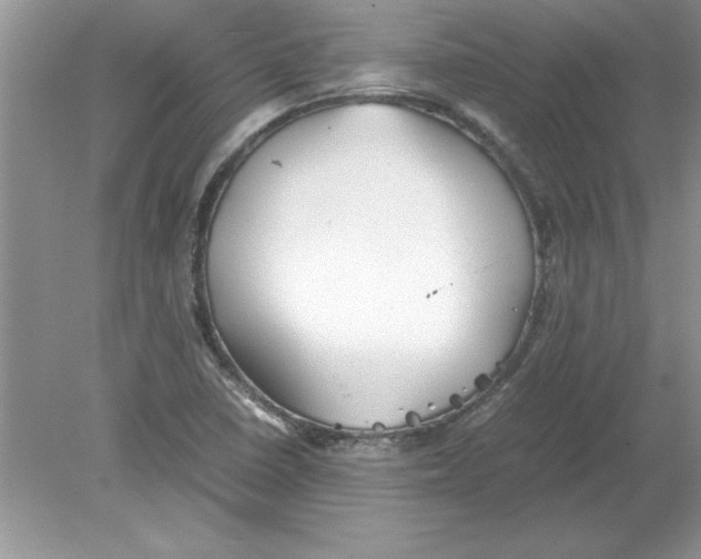 X0000078881410200612042012