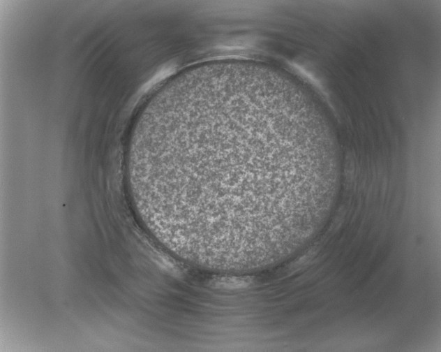 X0000078881411200612042012