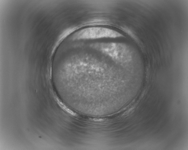 X0000078881413200612042012