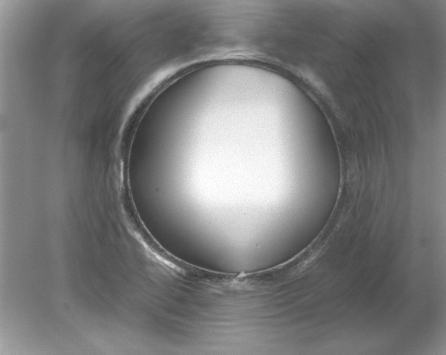 X0000078881414200612042012