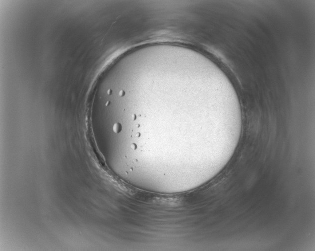 X0000078881415200612042012