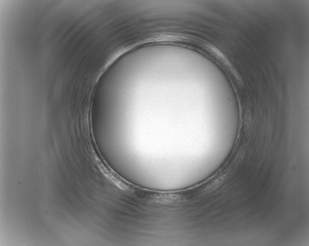 X0000078881417200612042012