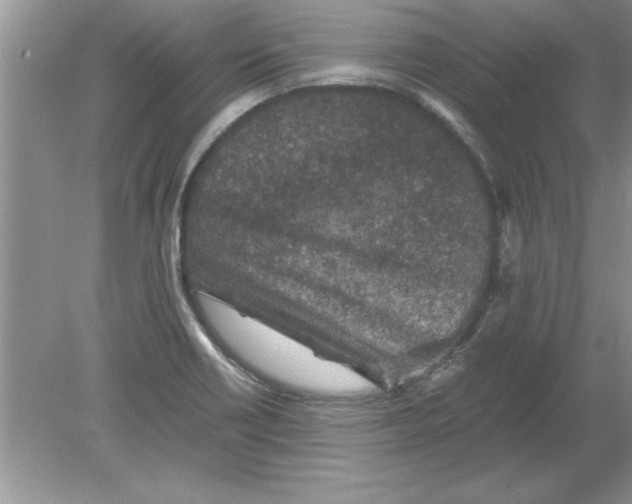 X0000078881418200612042012