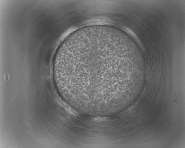 X0000078881419200612042012